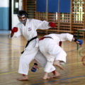 fot105.jpg