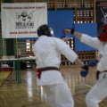 fot110.jpg