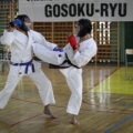 fot121.jpg