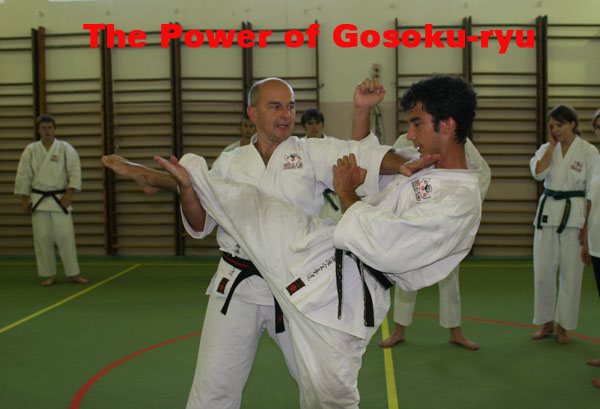 gosoku-ryu karate Warsaw